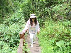 -青峰峡国家森林公园