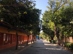 -求水山公园