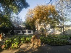 -绍兴鲁迅故里·沈园景区