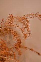 -阿南达·瑜伽普拉提·阿育吠陀疗愈中心