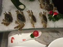 -海底捞火锅(泉城路店)