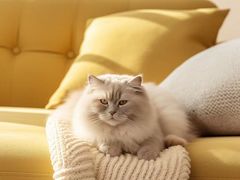 -山乙建设丨更懂年轻人的设计品牌