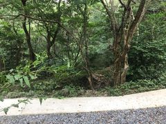 -普陀山风景区-佛顶山