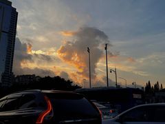 -深圳湾公园(南山区)