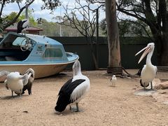 -费瑟代尔野生动物园