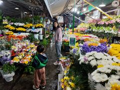-曲阳花鸟市场(曲阳路店)