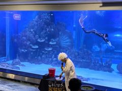 -顺德南宏海立方海洋公园