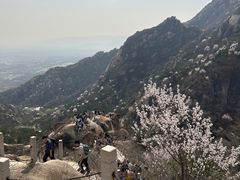 -北京凤凰岭