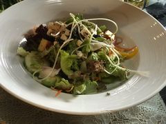 -Onion restaurant