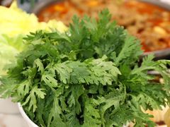 -彭记铁锅肥肠(东四总店)