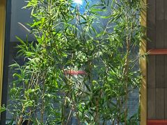 -牛村来人潮汕牛肉火锅(西单店)