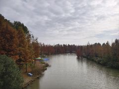 -上海长兴岛郊野公园