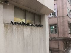 -清真惠记