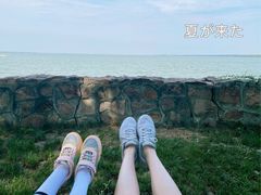 -上海美帆帆船露营基地