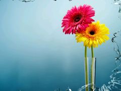 -莒南驴肉馆(蒙山大道店)