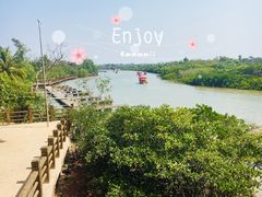 -东寨港红树林旅游区