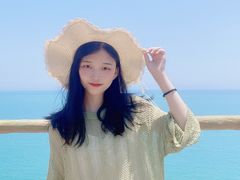 -广东惠东海龟国家级自然保护区
