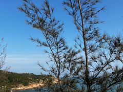 -广东惠东海龟国家级自然保护区