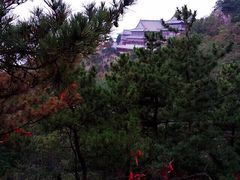 -石老人观光园