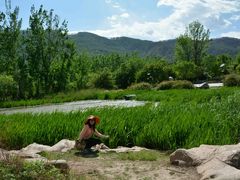 android_upload_pic-西昌邛海湿地