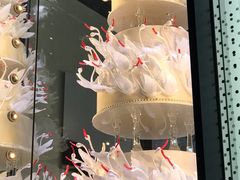 -BLACKSWAN黑天鹅(环球店)