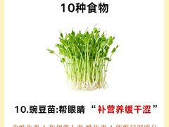 -上海大学附属上海和平眼科医院