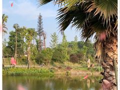 -枫香湖儿童公园