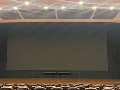 -中影国际影城(兰生大厦CINITY LED店)