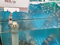 -郑庄脂渣海鲜楼(九水路店)