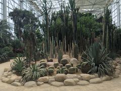 -祥源·阜阳生态乐园