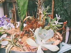 iphone_upload_pic-RGF(巨鹿路店)
