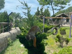 -大连森林动物园