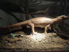 -中国湿地博物馆