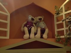 -济州岛泰迪熊博物馆