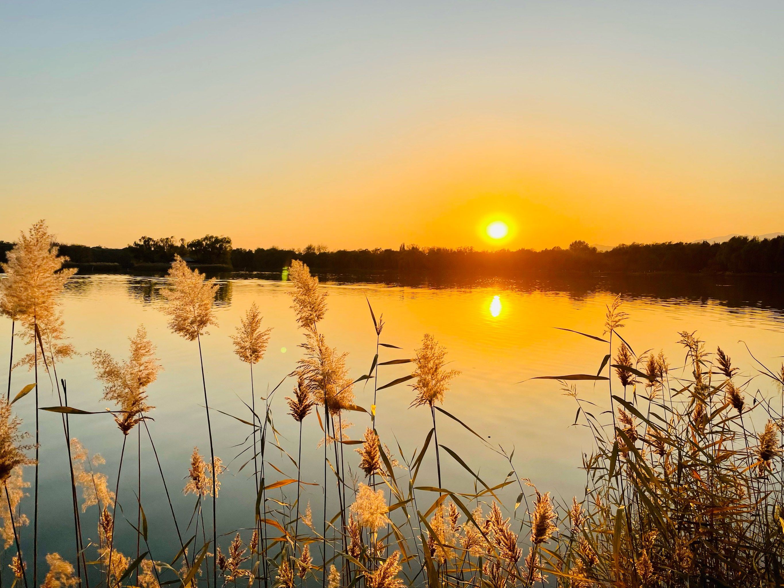 夏天的夕阳很美#住进风景里 #湖边美景#我拍到的治愈系风景 #0元玩转