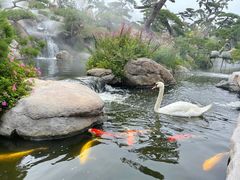 -罗红摄影艺术馆