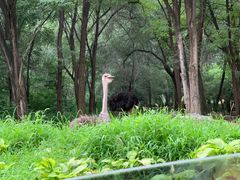 -北京野生动物园