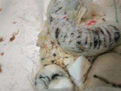 -清真全盛斋传统糕点(许士庙店)