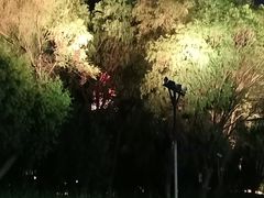 -武汉两江游览·夜游长江(汉口粤汉码头)