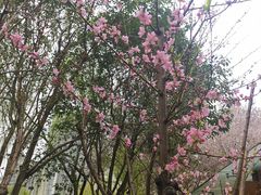 -木塔寺遗址生态公园