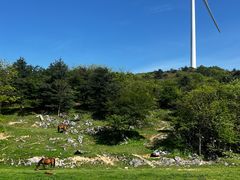 -齐岳山