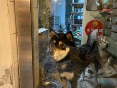 -大水的店(昙华林店)