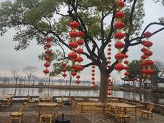 -无锡蠡湖国家湿地公园-蠡园