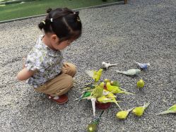 -萌宠亲子动物乐园(槐房万达店)