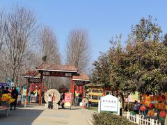 -遇见世外桃源教育农场