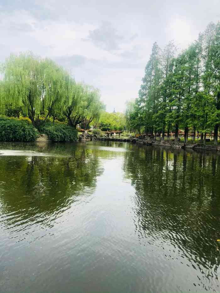 泗涇公園-