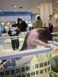 点击看大图 -meland亲子乐园•派对•研学(苏州悠方购物中心店)