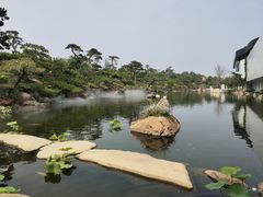 -罗红摄影艺术馆