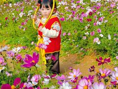 -金鸡山公园