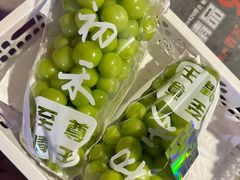 -马陆小张葡萄园农家乐